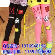 低价打底裤 女童打底裤 卡通打底裤 爆款 地摊货源 秋款童裤