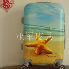 厂家美睿斯尼卡通海星拉杆箱 PC拉杆箱 精细做工旅行箱批发