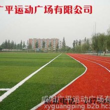 陕西   咸阳广平运动  塑胶跑道