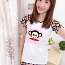 韩版女士睡衣 春夏季新款外贸原单卡通插肩套装纯棉时尚厂家直销