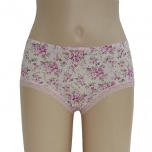 正规批发价正品蝶安芬3769中腰牛奶丝无痕女士平角裤 内裤