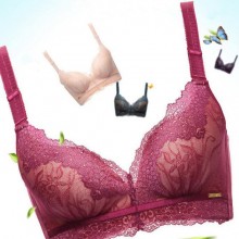 2016品牌文胸专柜 蕾丝拉拉女神内衣无钢圈无痕调整型聚拢文