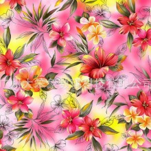 匹布印花，热转印匹布，卷布印花加工厂 印花热转印 印花加工厂