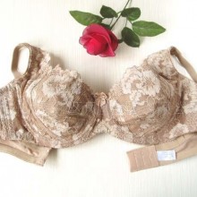 外贸日本内衣黛安芬大罩杯大码 80-100 DEF杯(图)