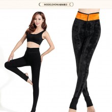 新款 高密锦纶超柔加绒加厚不起球一体裤 高腰黄金甲护腰打底裤