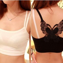 韩版百搭蝴蝶结抹胸镂空蕾丝裹胸莫代尔吊带背心女打底 厂家直销