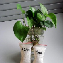 精选好货厂家直销活性氧化铝球1.5-2.5mm