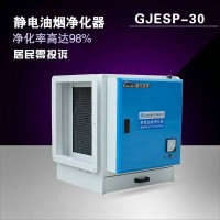 3000风量除油烟净化器 酒店饭店餐馆专用 除烟l率98% 静电吸附