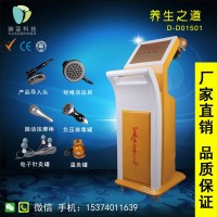 迪姿养生之道经络理疗仪 多功能经络疏通养生仪器 五行平衡理疗仪