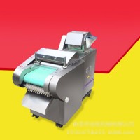 启航牌苤蓝丝切丝机 山西餐馆蔬菜切丝机 新款耐用蒜台切段机厂家