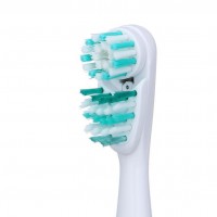 Spinbrush炫洁 电动牙刷 四驱专业洁白型旋转声波替换刷头