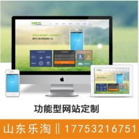 泰安市宁阳县 推广网站设计 网站设计与推广 平台推广公司 网站推广活动女士化妆品行业