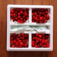 进口水果超市保鲜包装420型贝尔气调盒装包装机设备