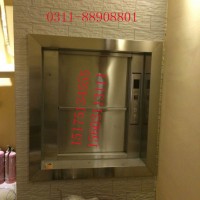 河北凌迅餐饮电梯链式电梯，餐饮电梯，货物电梯，