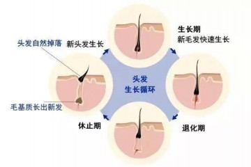 秋冬怎么护发从一把梳子开端
