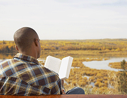 2015新款女袜 春夏透气隐形船袜 烫银丝印花全棉精包装袜子