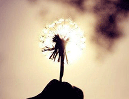 刚成婚就有丑闻回家的引诱艾莉老公被指骗财骗色被当街贴传单